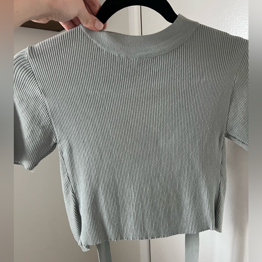 Zara backless crop top